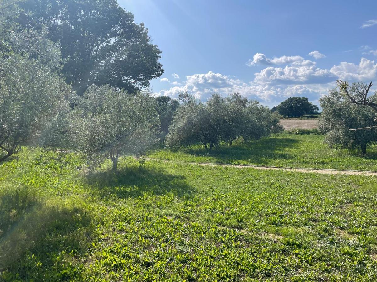 Sous Les Etoiles En Provence, Gite Les Grands Chenes Lurs Eksteriør bilde