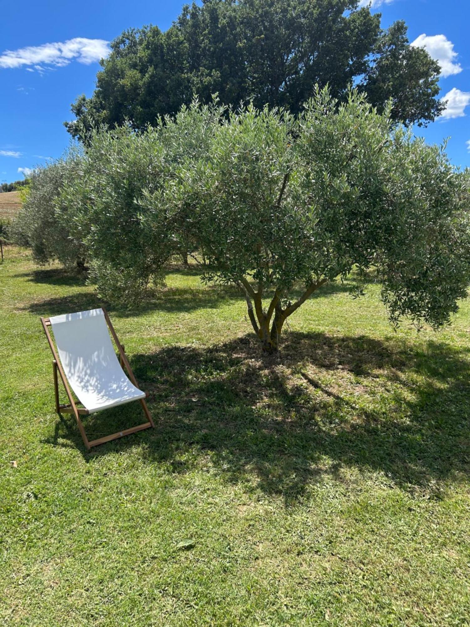 Sous Les Etoiles En Provence, Gite Les Grands Chenes Lurs Eksteriør bilde