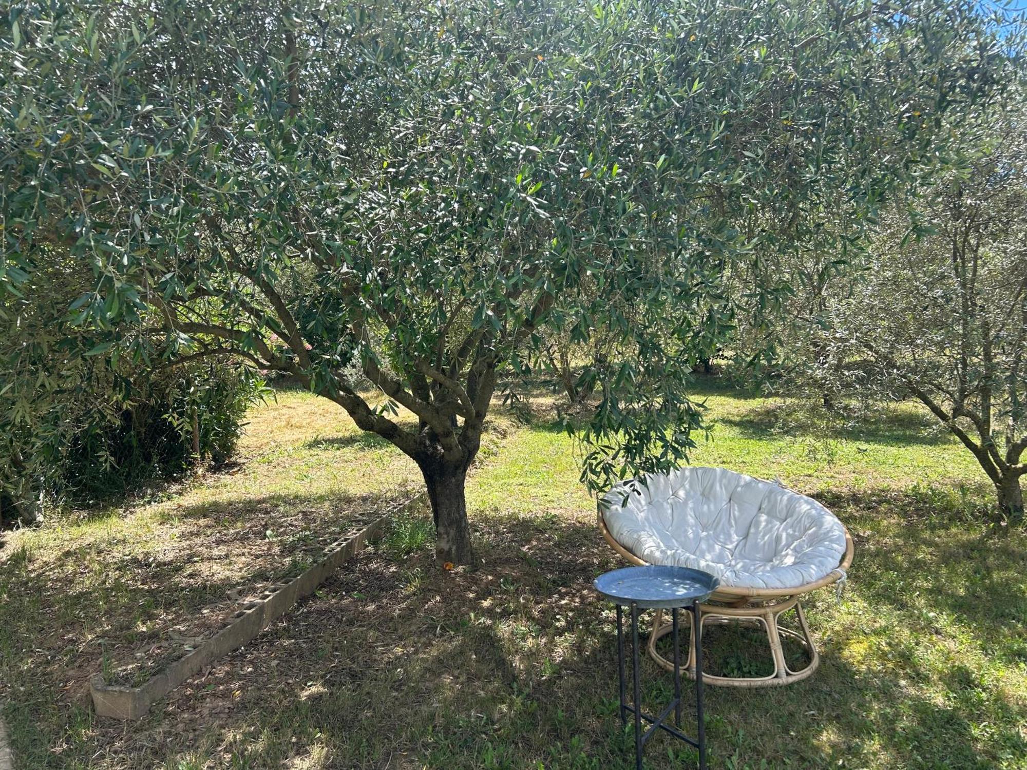 Sous Les Etoiles En Provence, Gite Les Grands Chenes Lurs Eksteriør bilde