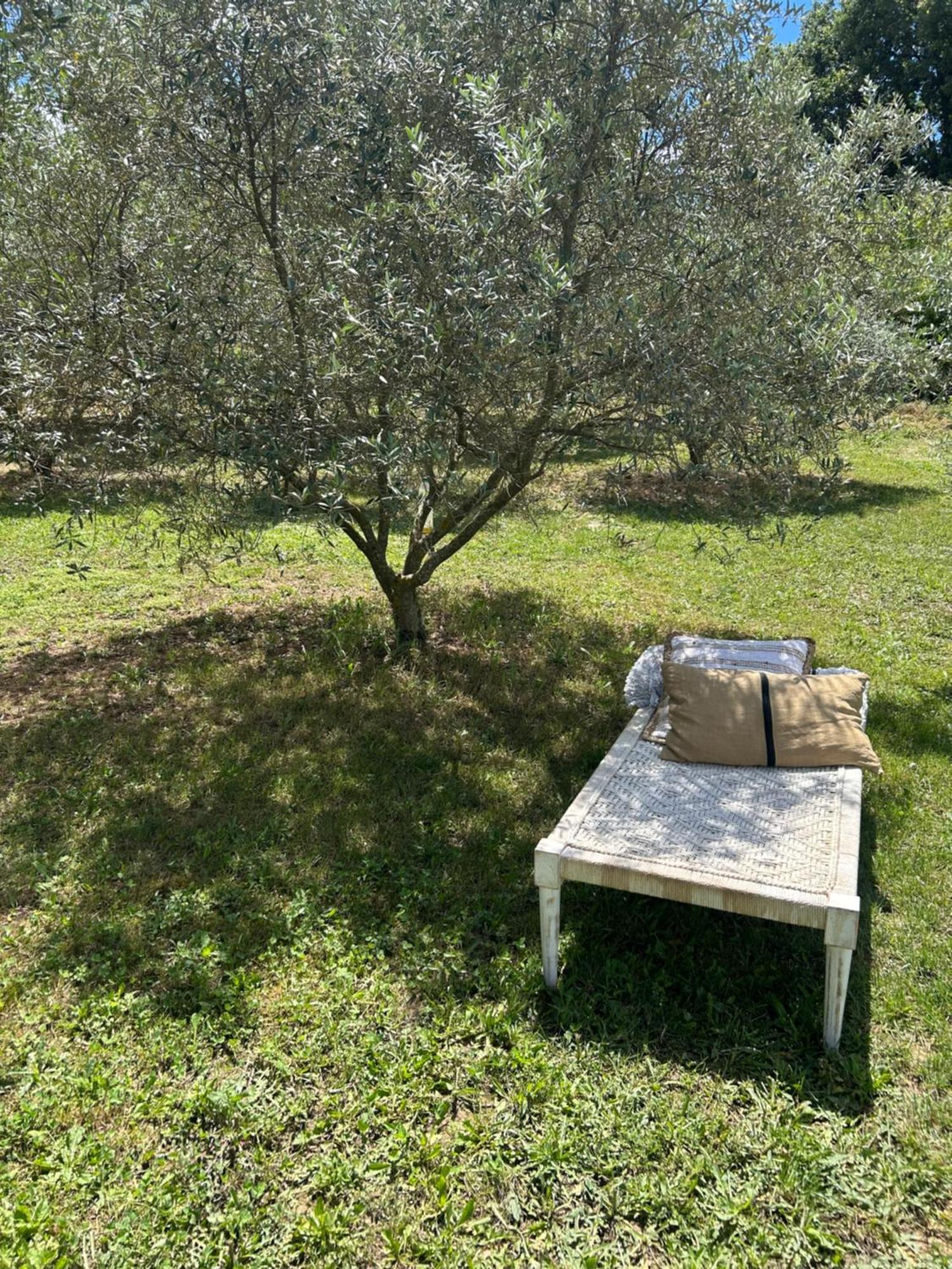 Sous Les Etoiles En Provence, Gite Les Grands Chenes Lurs Eksteriør bilde